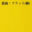 画像4: 【BEES BEAM】ビーズビーム　4.3oz アクティブポロシャツ (レディースサイズ) (4)