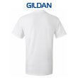 画像2:  【GILDAN】ギルダン｜6.0oz ウルトラコットン Ｔシャツ (2)