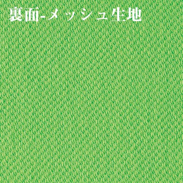 画像4: 【BEES BEAM】ビーズビーム 4.1oz ハニカム Tシャツ | Seventeen VergleBee (4)