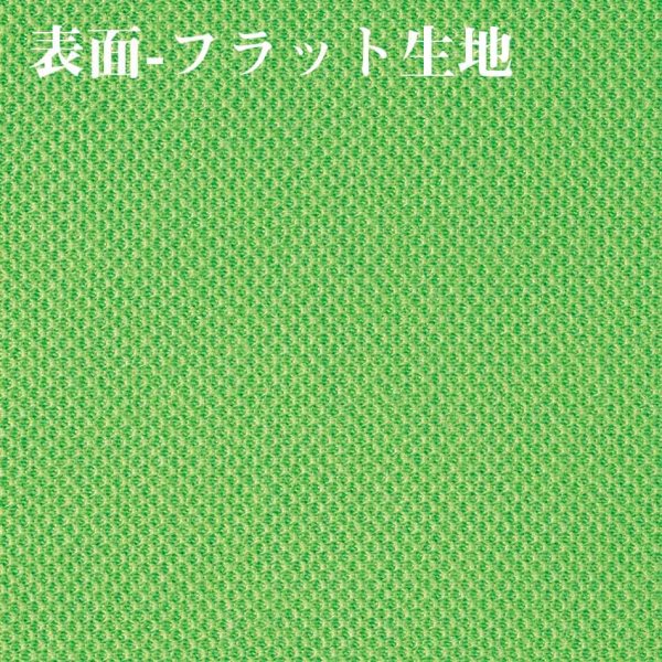 画像3: 【BEES BEAM】ビーズビーム 4.1oz ハニカム Tシャツ | Seventeen VergleBee (3)